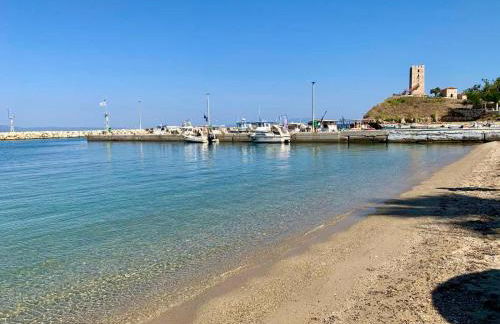 Seashell by halu! - Foto 70