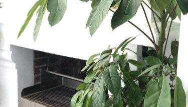 Villa Jasmin private pool - Foto 4