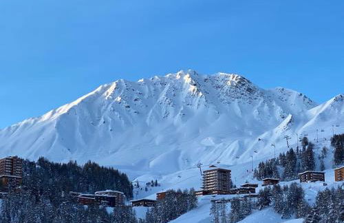 Résidence le DORONIC Duplex 8 pers La Plagne 1800 - Foto 27