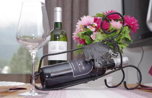 Super Apartment Ogulin - Foto 10