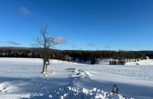 Ferienwohnung Waldblick mit Sauna - Foto 21