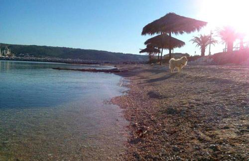 Ap Villa Isabella with private pool - Photo 40