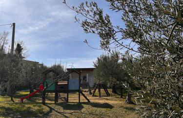 oasi macerina - Foto 54