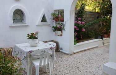 Dimitra's Apartments 4 klm away from Chora - Foto 33