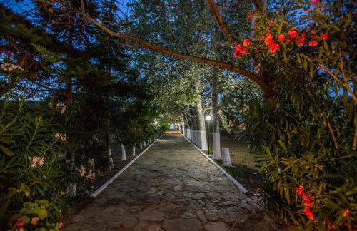 studio lefkes kea - Foto 48