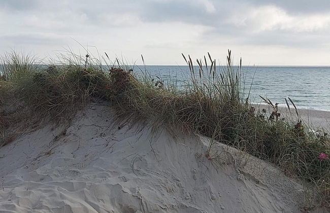 Haus in Niebull Nahe Wattenmeer - Foto 20