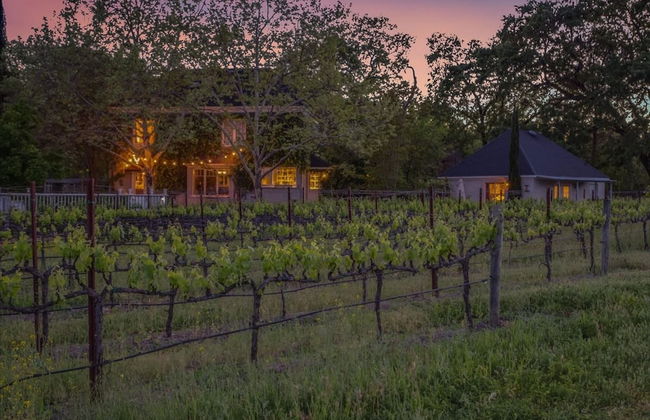 French Provencal Chateau in the Heart of Napa - Foto 22