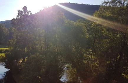 Apartment Pegnitzmühle mit Pegnitzinsel - Foto 34