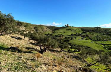 Mount Tatum - Foto 24