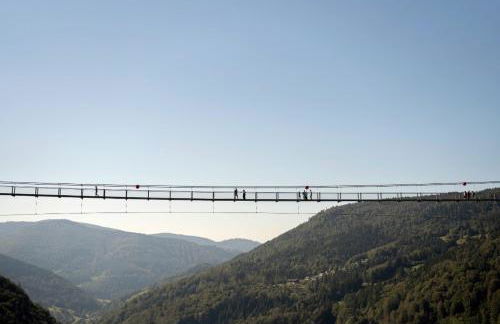 Grüner Wohnen im Alten Schulhaus - Foto 23