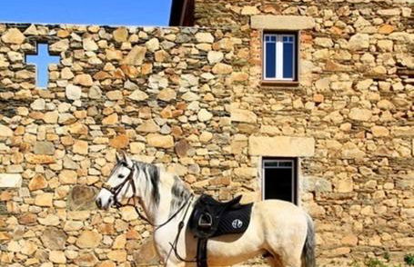 Couto dos Pardinhos - Foto 10