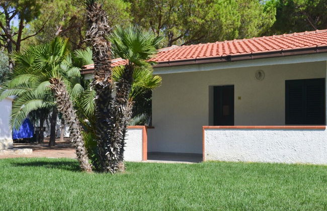 Bungalow in a Resort in Lido del Sole With Terrace - Photo 28