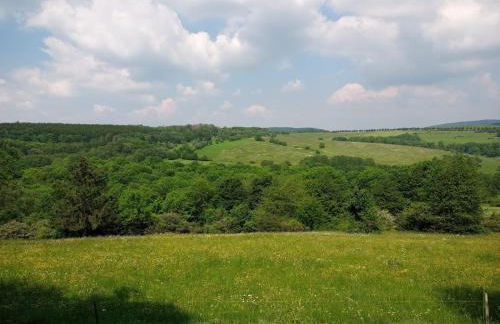 Ferienwohnung am Hochrhöner - Foto 21