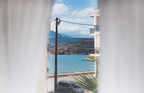 Coconut Blue - Photo 17