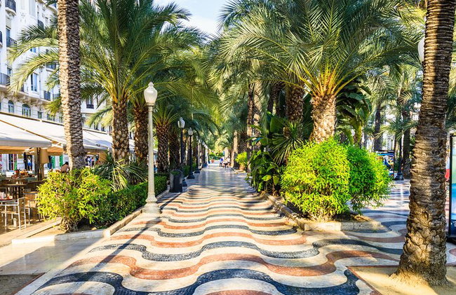 Hola Alicante : Privado 2 - Horas Intro Paseo por la ciudad con guía local - Foto 8