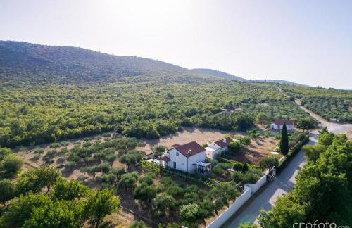 Grandfather's House - Photo 56