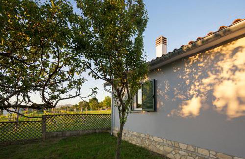 Villa Amaryllis - Photo 17