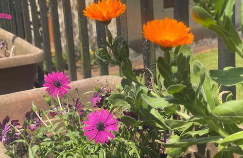 El Campón, Collía - Photo 35