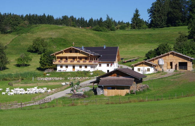 Holiday Apartment Almstuberl - Photo 22