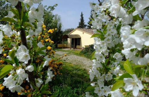 Agriturismo La Roverella - Foto 58