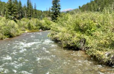 Cozy Riverfront Cabin with Fireplace & Deck - Foto 51