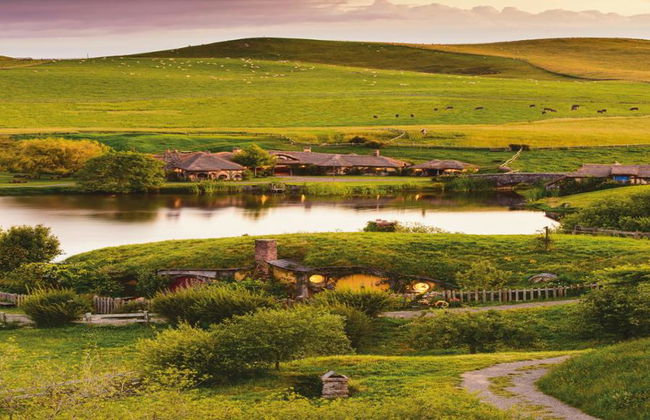 Hobbiton Express Tour - Foto 5