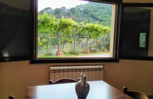 Villaggio dei Balocchi - Foto 17