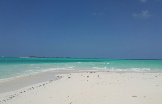 Private Beachfront Home - Foto 53