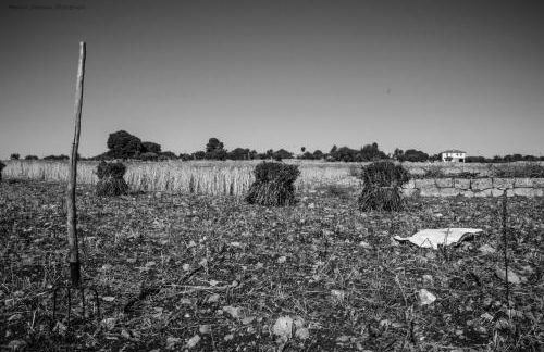 Agriturismo Il Melograno - Foto 90