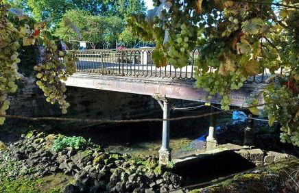 Gîte du Domaine de la Forge - Photo 10