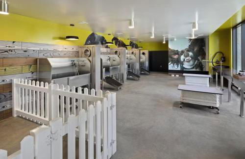 Sapphire Marina - Marina View Pool, Gym, Game Room - Foto 32