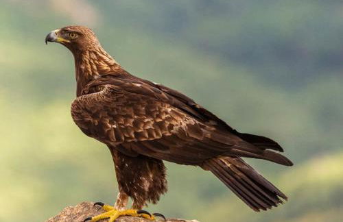 La Casa del Pan de Archivel - Foto 26