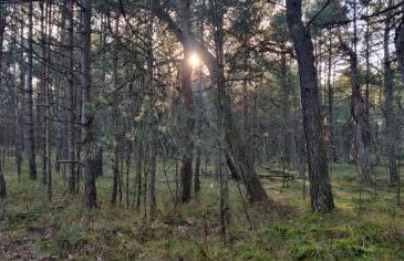 Your Private Hytte - Foto 26