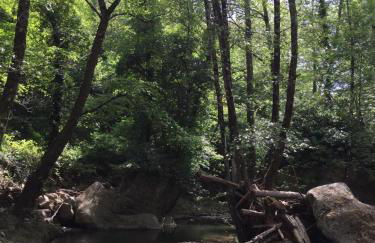 Giardino di Potentino - Foto 30