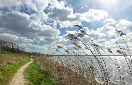 Ferienwohnung Teve - ebenerdig unter Reet & hyggelig mit Kamin - Foto 40