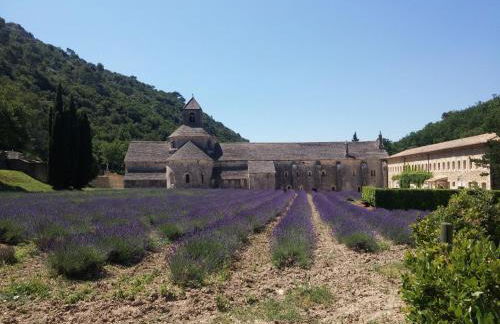 Bastidon à Gordes avec piscine - Photo 42