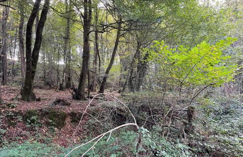 L'escapade Saint Michel - Foto 20