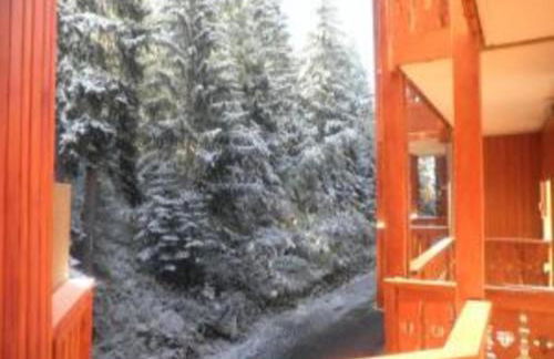 Résidence les Mélèzets 2 au pieds des pistes et des commerces - Photo 13