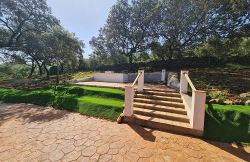 La Casa de Madera - Photo 37