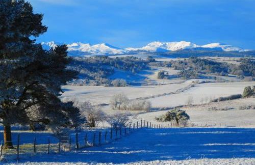 L'Esprit du Bois - Foto 20