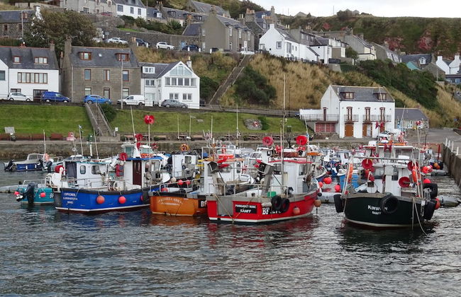 Orange Yurt With Hot Tub- Sleeps 3, Parking & Wifi - Photo 32