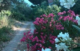 Apartment Pilatus Ošljak - Photo 20