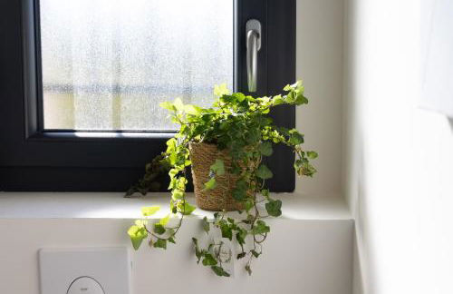 Dolce Vita Piscine - Photo 17