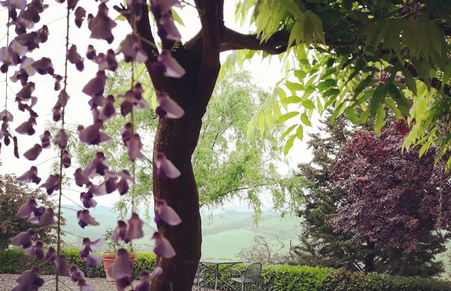 San Lorenzo Agriturismo - Foto 40