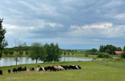 Drewniana Osada - Foto 42