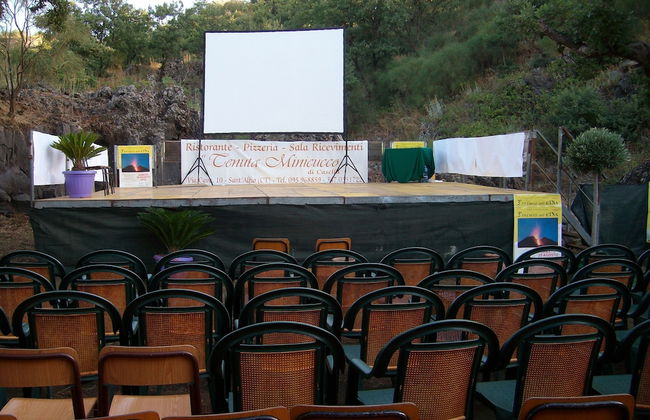 Viola nel Parco - Foto 51