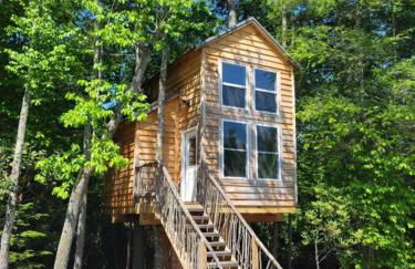 Treehouses at Lake Mountain Manor - Foto 34