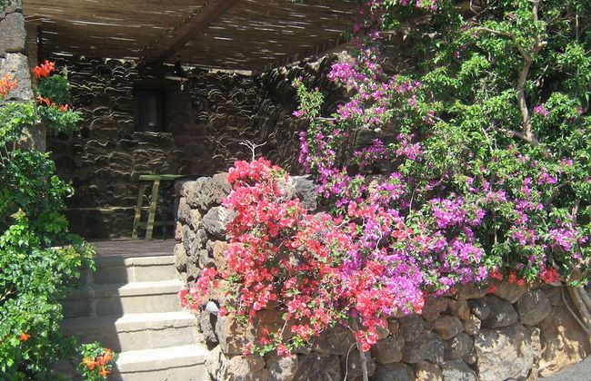 Agriturismo Zibibbodoro - Foto 65