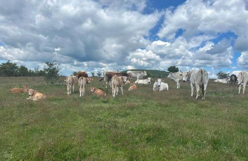 Da MammaMimma - Foto 35