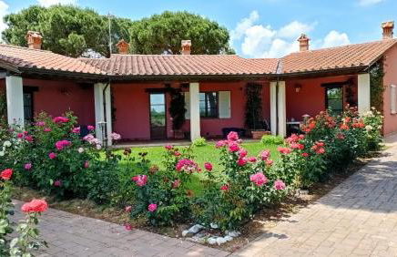 Agriturismo Il Sogno - Foto 1